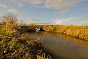 Das Mövenfleet in Hamburg-Neuallermöhe, Foto: Flamenc, Wikimedia